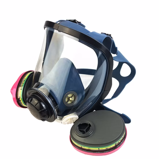 Neue Arten von Doppelfiltern, Sicherheitsgasmaske, Nylontasche, verpackt, tragbare Vollgesichtsgasmaske
